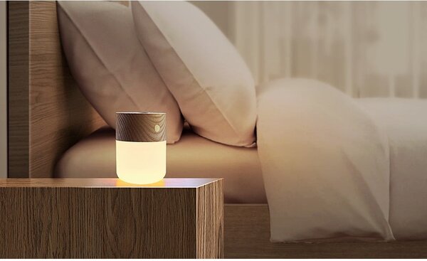 Elektrický difuzér Smart – Gingko