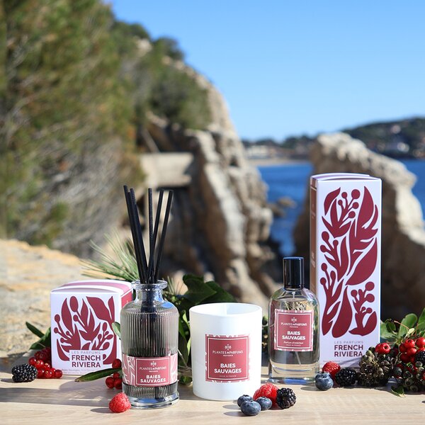 Plantes et Parfums de Provence Baies Sauvages