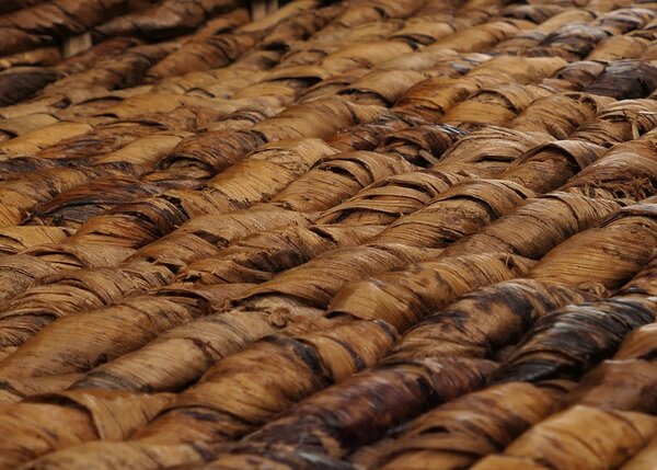 Sada 2 jídelních židlí Proutěná židle M45 Židle Banana Wicker tmavá, s polštářem