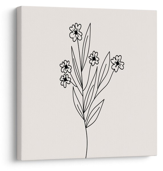 Obraz - Luční květ N⁰1 (30x30 cm)