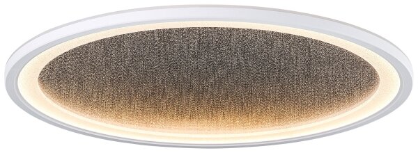 Brilliant - LED Stmívatelné stropní svítidlo TANIDA LED/31W/230V 3000-6500K + DO