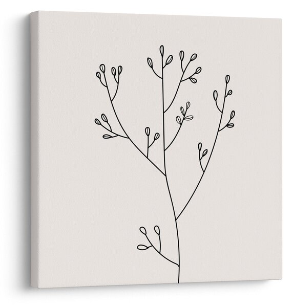 Obraz - Luční květ N⁰3 (30x30 cm)