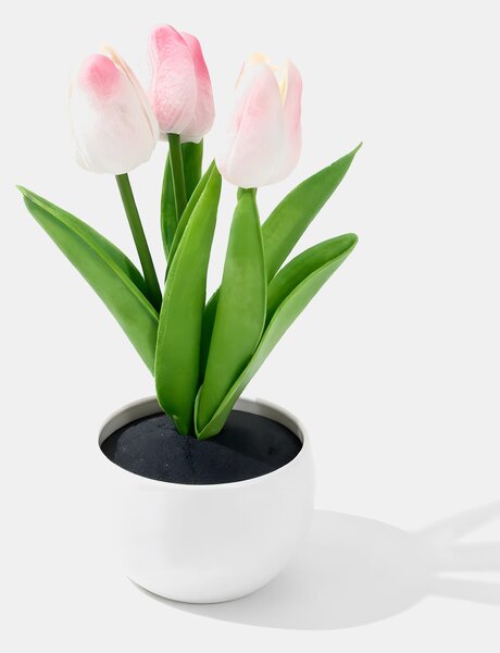 Sinsay - Dekorativní tulipány v květináči - růžová