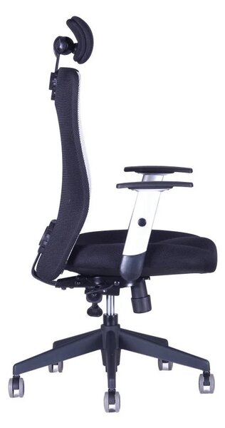 Office Pro Kancelářská židle Calypso XL SP1 Barva opěráku: 1111 černá