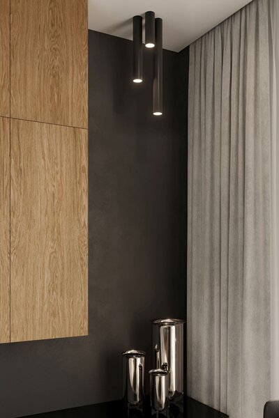 Sollux Lighting Lagos stropní světlo 1x40 W černá SL.1001