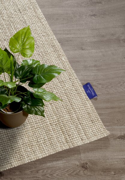 Villeroy & Boch, Běhoun Villeroy & Boch 106066 Beige, 80x200, béžová, chodba / předsíň