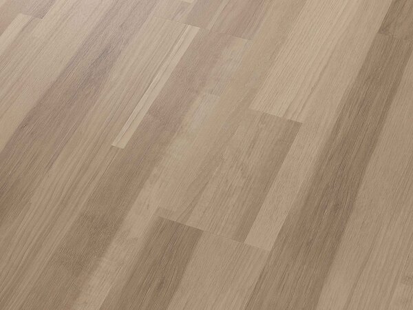 CORETEC Proplus Excalibur 50RLV4557 - 2.68 balení