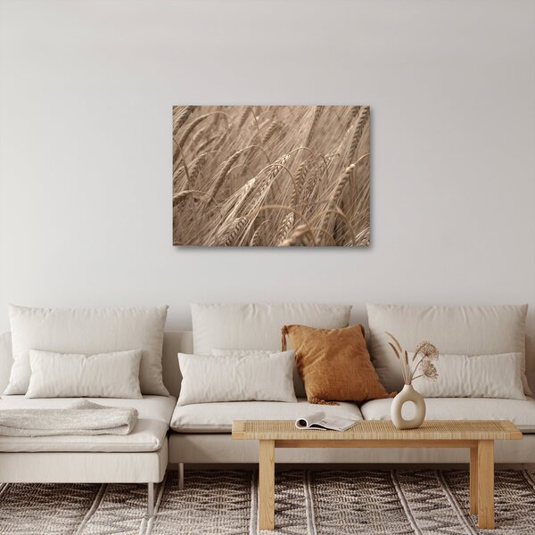 Obraz - Zlaté pole (70x50 cm)
