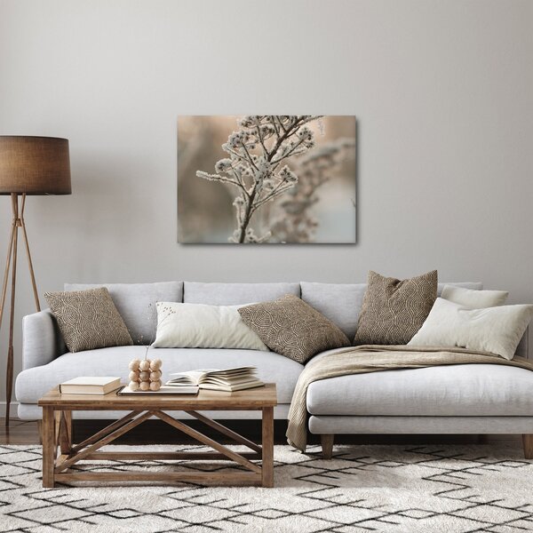 Obraz - Rostlina v mrazu (70x50 cm)
