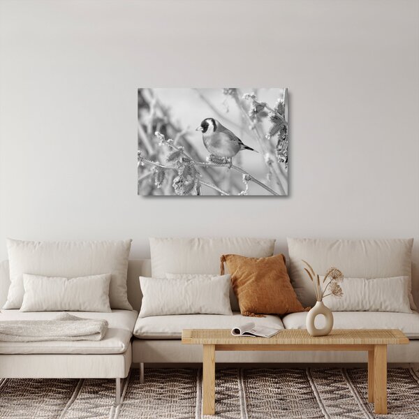 Skleněný obraz - Ptáček v zimě (70x50 cm)