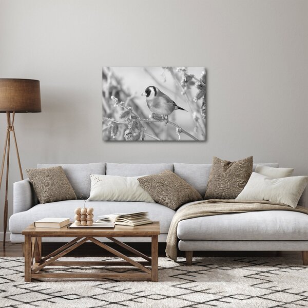 Obraz - Ptáček v zimě (70x50 cm)