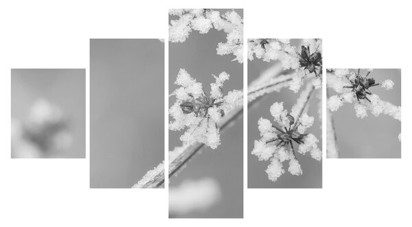 Obraz - Zmrzlá rostlina (125x70 cm)
