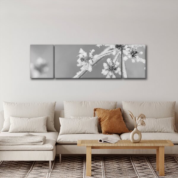 Obraz - Zmrzlá rostlina (170x50 cm)