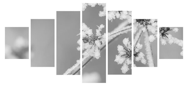 Obraz - Zmrzlá rostlina (210x100 cm)