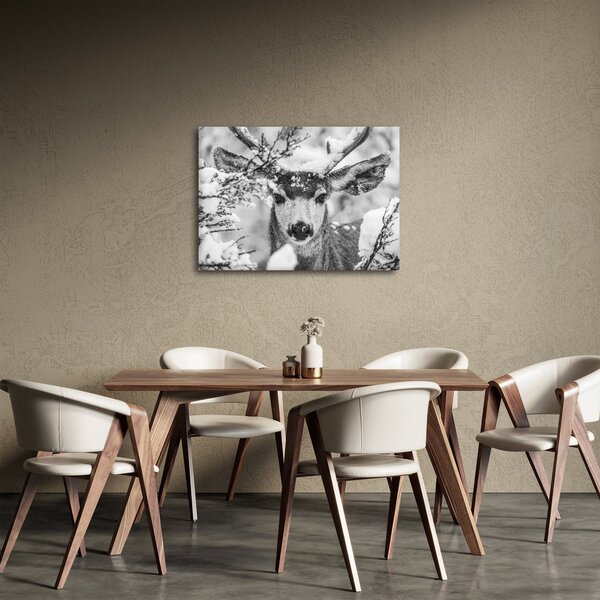 Obraz - Jelen v zimě (70x50 cm)