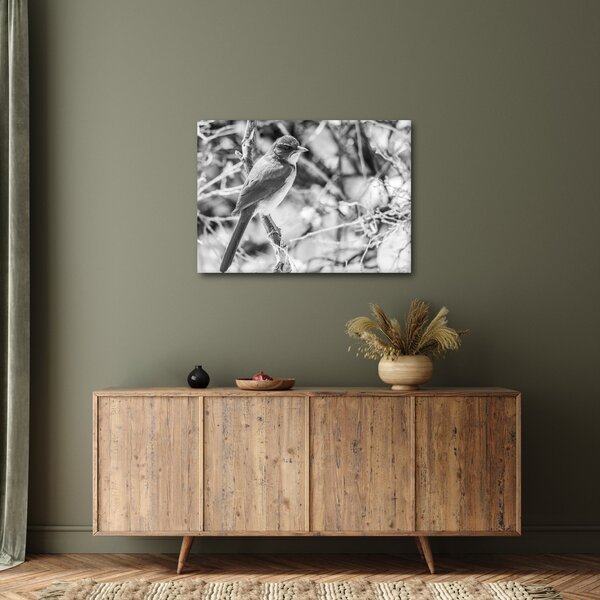 Obraz - Modrý pták v zimě (70x50 cm)