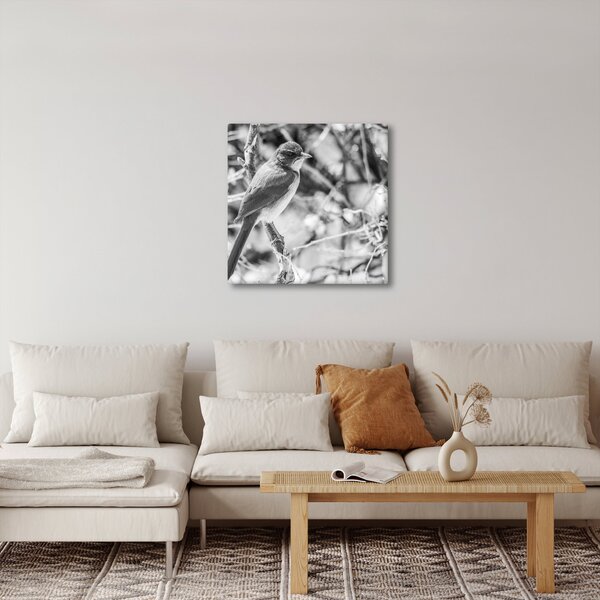 Obraz - Modrý pták v zimě (30x30 cm)