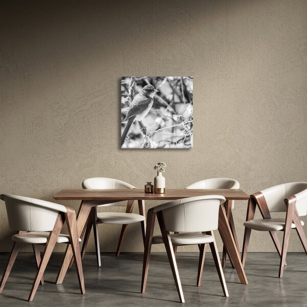 Obraz - Modrý pták v zimě (30x30 cm)