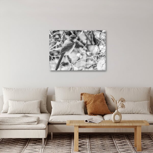 Obraz - Modrý pták v zimě (70x50 cm)