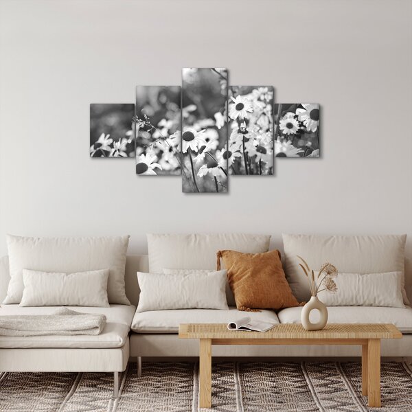 Obraz - Kopretiny (125x70 cm)