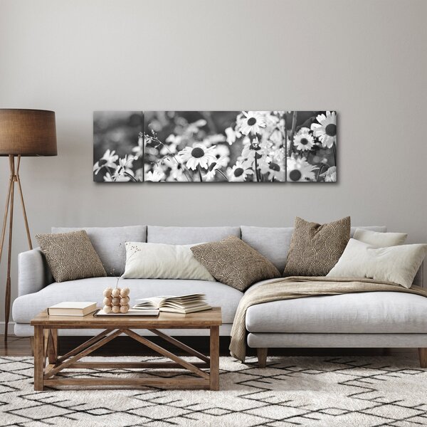 Obraz - Kopretiny (170x50 cm)