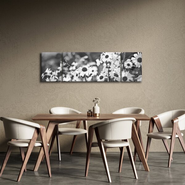 Obraz - Kopretiny (170x50 cm)