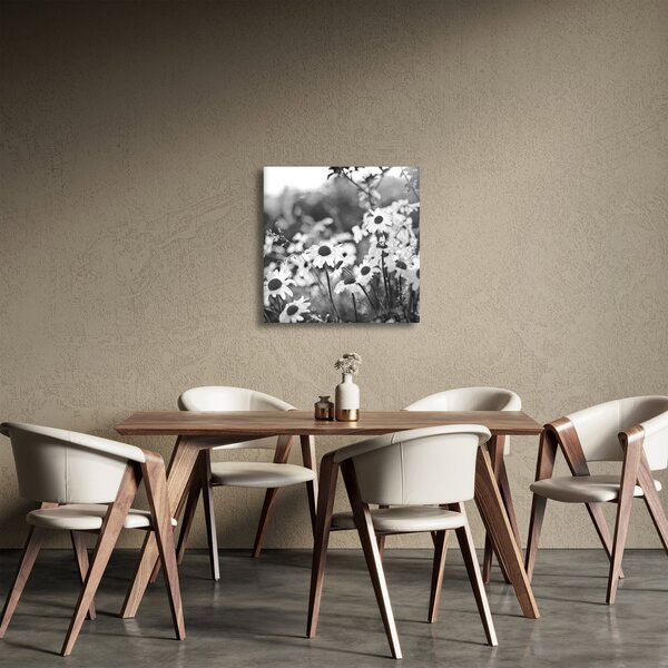 Obraz - Kopretiny (30x30 cm)