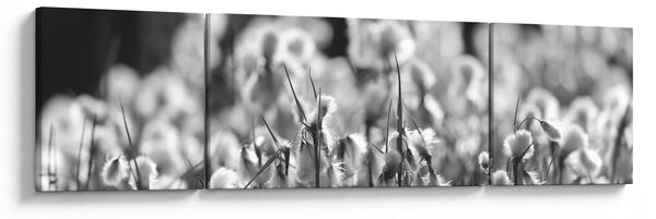 Obraz - Letní louka (170x50 cm)