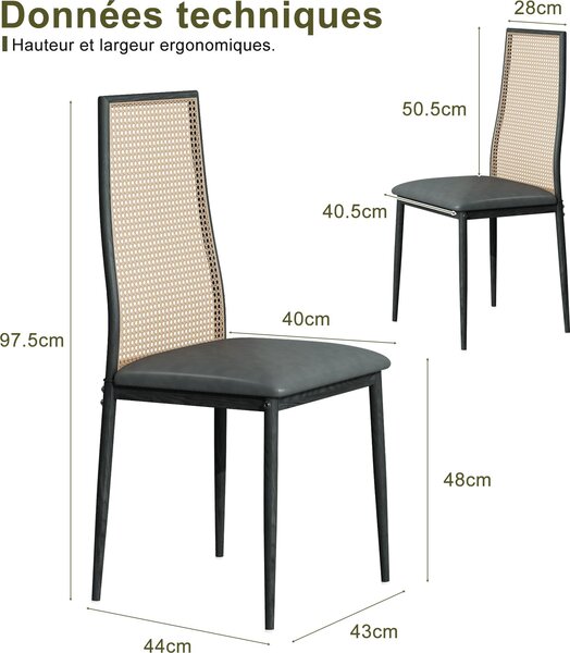 Sada 2 designových jídelních židlí, Imitace kůže, ratanové opěradlo, kovové nohy, černá barva, 97,5 x 44 x 43 cm