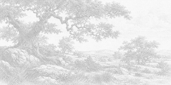 Fototapeta Kresba stromu a kamenů, Přírodní fototapety, Populární fototapety - Tapeko.co.cz