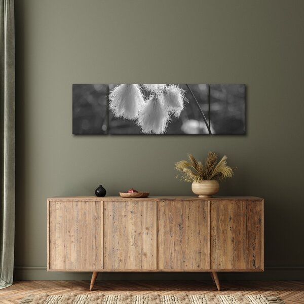 Obraz - Cottongrass (170x50 cm)