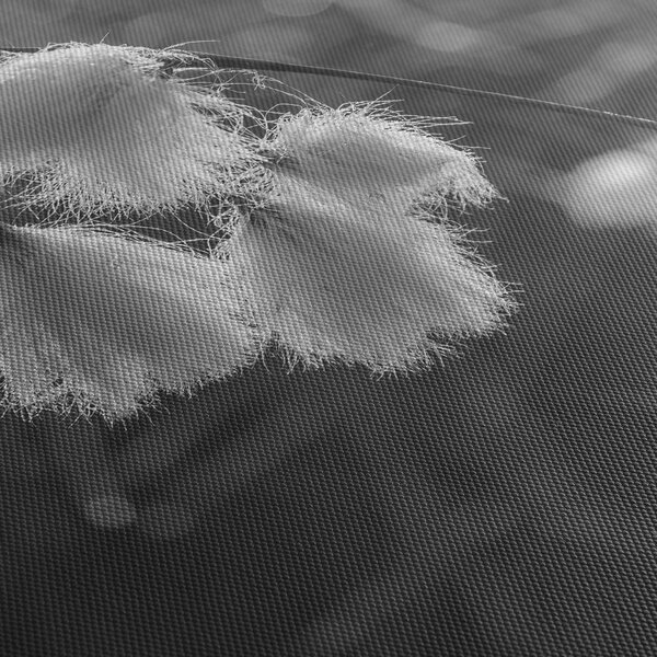 Obraz - Cottongrass (170x50 cm)