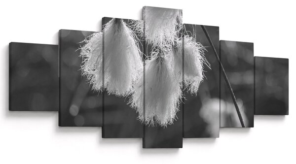 Obraz - Cottongrass (210x100 cm)