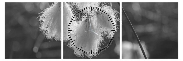 Obraz - Cottongrass (s hodinami) (90x30 cm)
