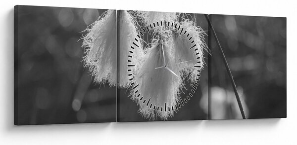 Obraz - Cottongrass (s hodinami) (90x30 cm)