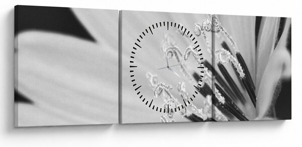 Obraz - Černobílá květina (s hodinami) (90x30 cm)