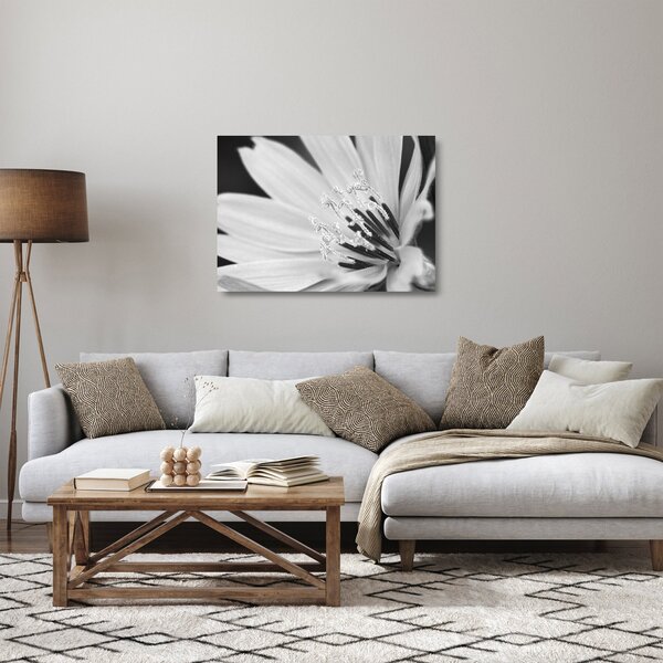 Skleněný obraz - Černobílá květina (70x50 cm)