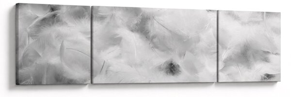 Obraz - Oblaka peří (170x50 cm)