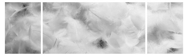 Obraz - Oblaka peří (170x50 cm)