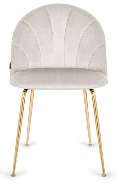 Sada 4 elegantních jídelních židlí s šedým sametovým potahem a zlatými nohami – výrazný design, pevná ocelová konstrukce