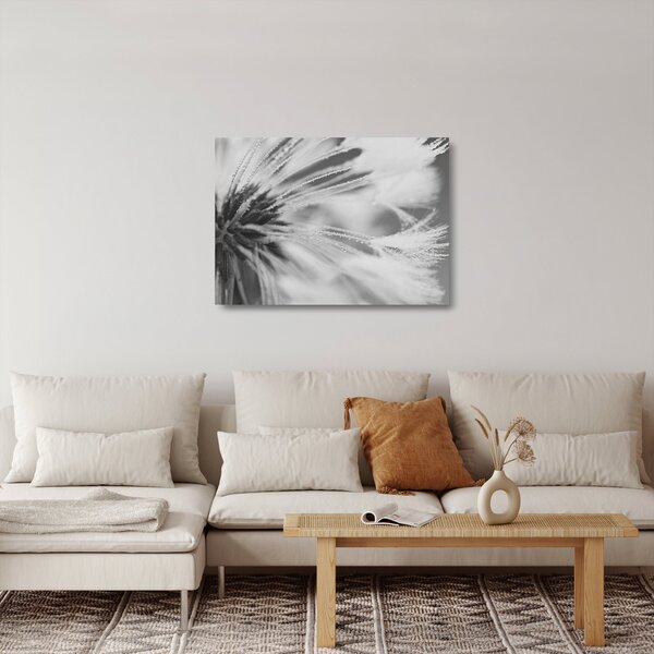 Skleněný obraz - Pampeliška (70x50 cm)
