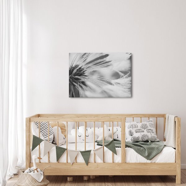 Obraz - Pampeliška (70x50 cm)