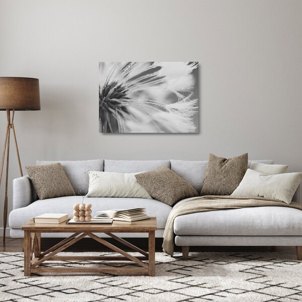 Skleněný obraz - Pampeliška (70x50 cm)