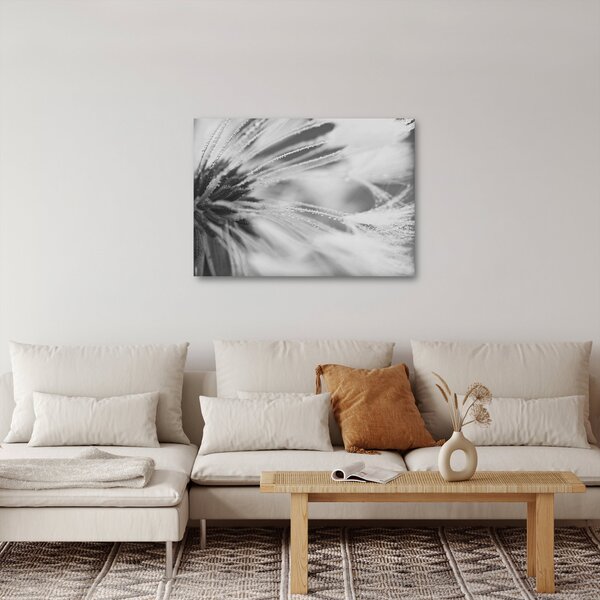 Obraz - Pampeliška (70x50 cm)