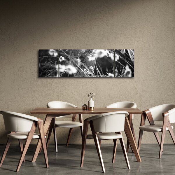 Obraz - Pavučina na louce (170x50 cm)