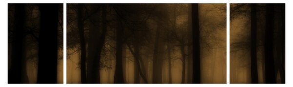 Obraz - Temný les (170x50 cm)