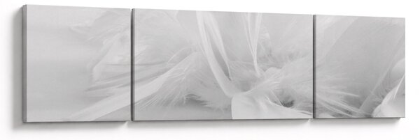 Obraz - Peří (170x50 cm)