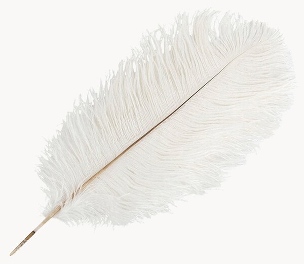 Dekorace Feather