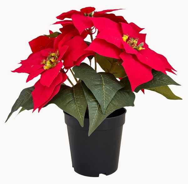 Umělá rostlina Poinsettia