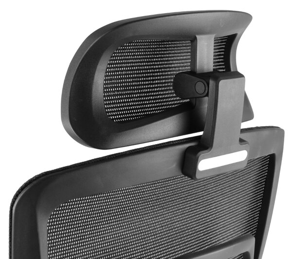 Kancelářská ergonomická židle Neoseat GARY — černá, nosnost 150 kg
